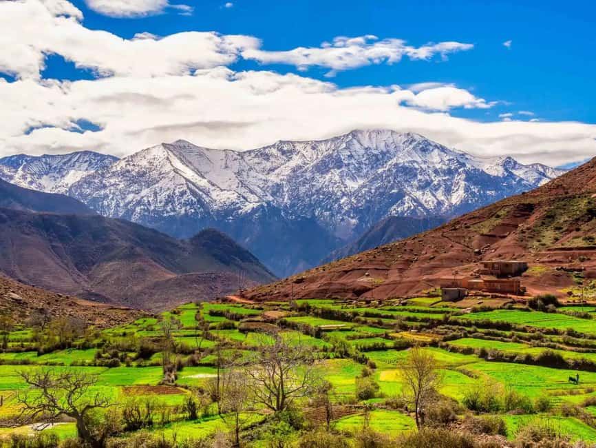 From Marrakech to Ourika Valley tour featuring green terraced fields, rugged red hills, and snow-capped Atlas Mountains