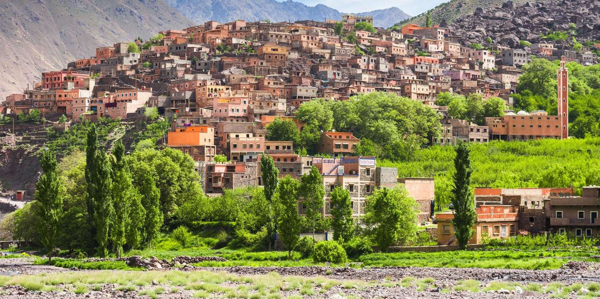 From Marrakech to Ourika Valley tour featuring a lush green valley, terraced village homes, and rugged Atlas Mountains