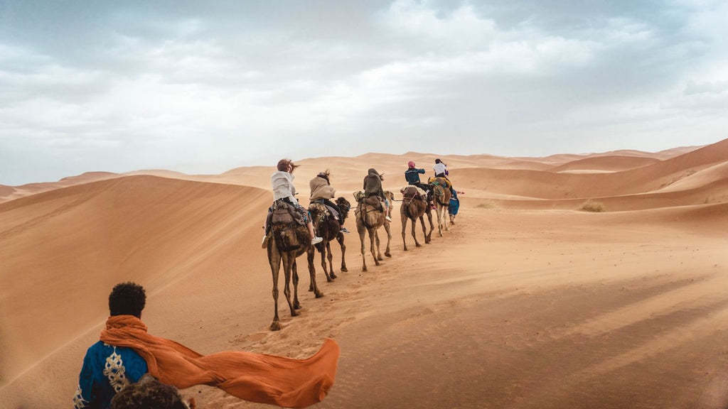 From Marrakech: To Sahara Tour with camel riders crossing orange desert dunes, led by a blue-robed guide