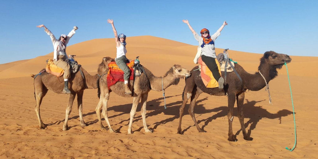 Three people on brown camels with colorful saddles riding on golden sand dunes under clear blue sky for Group Tours from Marrakech.