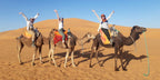 Three people on brown camels with colorful saddles riding on golden sand dunes under clear blue sky for Group Tours from Marrakech.