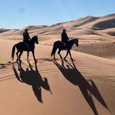 Horse Riding in Merzouga featuring two riders on dark horses traversing golden sand dunes under clear blue sky in the Sahara Desert.