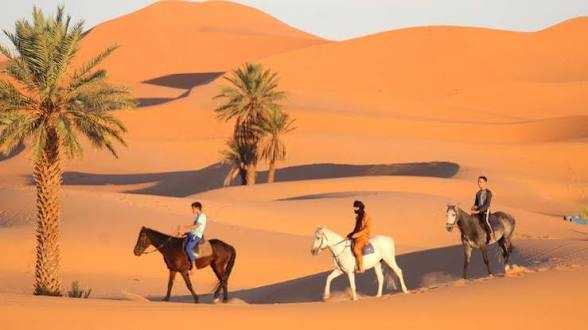 Three people on brown, white, and gray horses riding beside palm trees in orange sand dunes during Horse Riding in Merzouga.