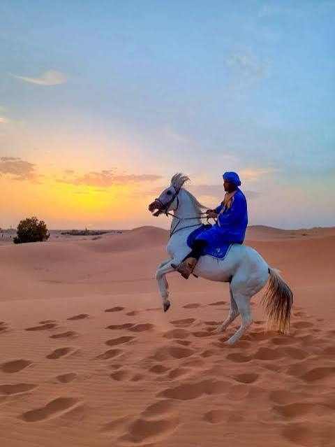 Horse Riding in Merzouga featuring a rider in blue clothing on a white horse rearing on golden desert sand at sunset.