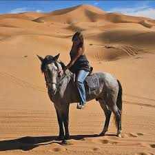 A woman on a grey horse with a patterned saddle stands on golden sand dunes, illustrating Horse Riding in Merzouga.