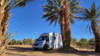 Hotel auberge Sahara white camper van parked among tall palm trees in a sunny desert landscape under clear blue sky
