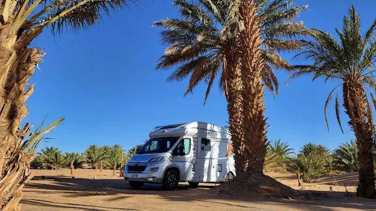 Hotel auberge Sahara white camper van parked among tall palm trees in a sunny desert landscape under clear blue sky