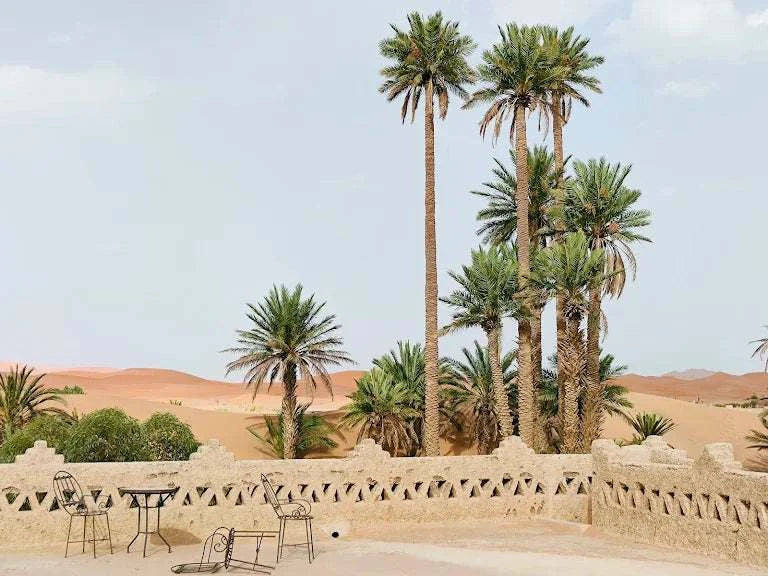 Hotel auberge Sahara outdoor terrace with ornate sandy beige stone railing, wrought iron table and chairs, palm trees, and desert dunes