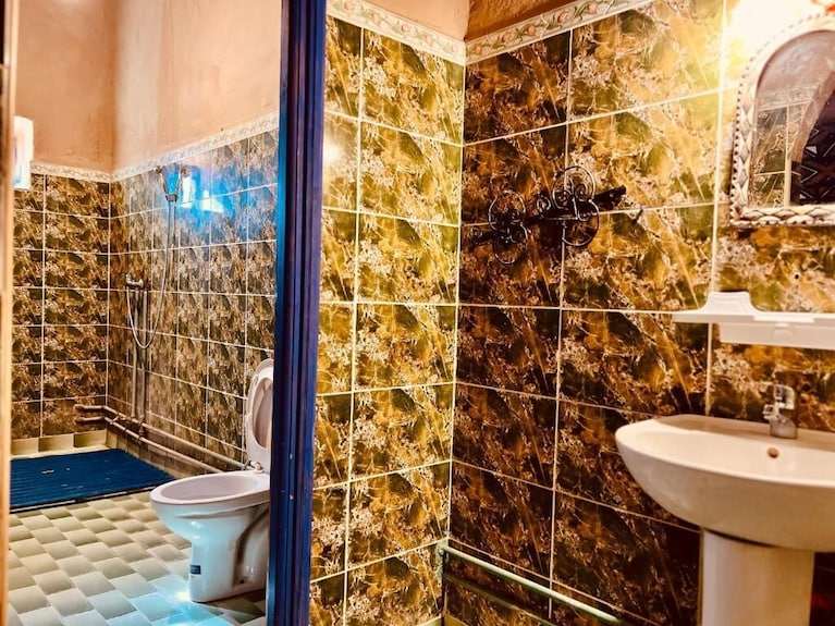 Hotel Camping Les Roses bathroom with marble-patterned brown wall tiles, white toilet, pedestal sink, and mirror above sink