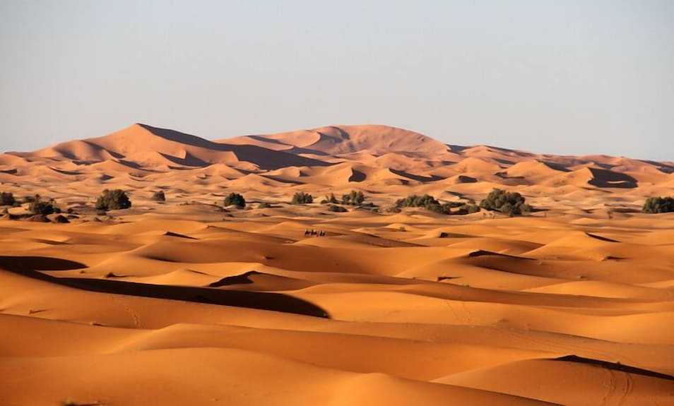 Hotel Kasbah Ksar Bicha view of large orange sand dunes with scattered greenery under clear sky