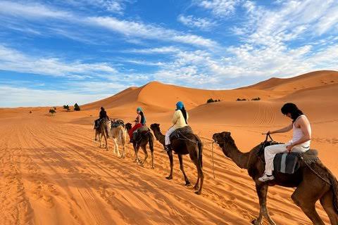 2-hour camel trekking from Merzouga to Oasis back to Merzouga