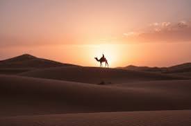 Merzouga Sunset Camel Trekking adventure