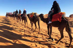 2-Day Ouarzazate to Merzouga and Fes Desert Tour