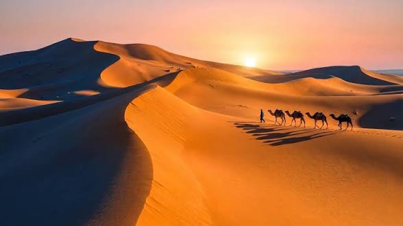 Merzouga Sunset Camel Trekking adventure