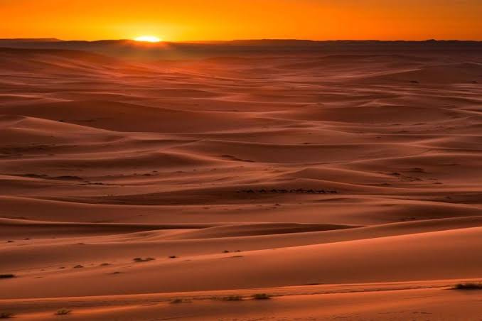 Merzouga Sunset Camel Trekking adventure