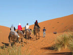 Merzouga Desert Trip 4x4 Adventure Camel Trekking Overnight stay