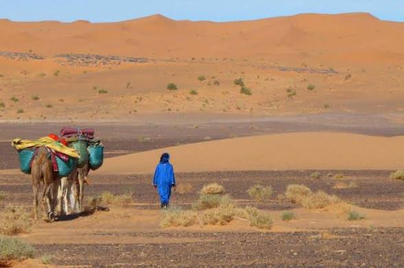 Trekking in Merzouga Dunes: A Sahara Desert