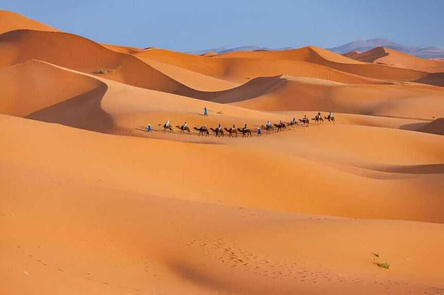 Kalimba Luxury Desert Camp camel caravan trekking through vast golden sand dunes under clear blue sky in Merzouga Sahara