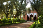 La Mamounia Marrakech garden path lined with lush greenery and large olive trees leading to a terracotta-colored building with white archways