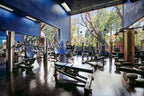 La Mamounia Marrakech gym with blue walls, large windows, modern exercise equipment, and wooden floors under natural light