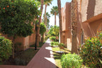Le Berbere Palace Ouarzazate hotel outdoor walkway with terracotta walls, green palm trees, and shrubs under clear sky