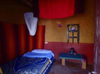 Le Gout Du Sahara Hostel room featuring a blue and gold patterned blanket, white mosquito net, and rustic Moroccan-style decor.