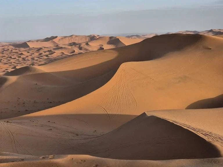 Desert landscape with golden sand dunes and tire tracks under a clear blue sky at Le Gout Du Sahara Hostel location in Merzouga, Morocco.