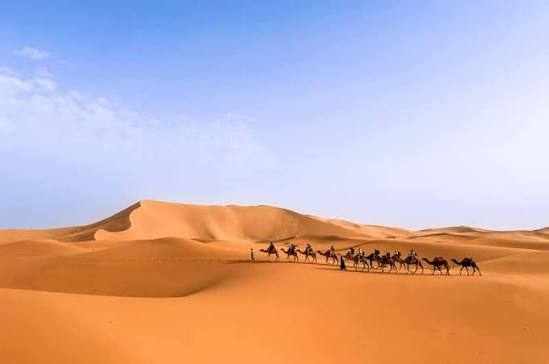 Desert landscape with golden sand dunes under a clear blue sky featuring a caravan of camels and riders near Les Pyramides Hotel.