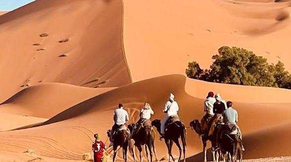 Camel riders trekking along golden sand dunes under a clear sky, showcasing the desert adventure near Les Pyramides Hotel.