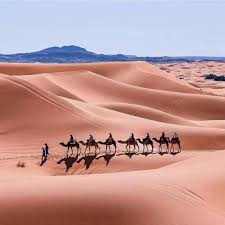 Camel caravan trekking across golden sand dunes under clear blue sky at Les Pyramides Hotel desert location in Morocco.