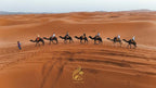 Luxury Camp Chebbi camel caravan with riders in colorful attire crossing orange sand dunes under blue sky in Merzouga Morocco