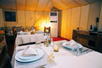 Luxury Camp Chebbi dining area inside a beige tent with neatly set tables including white plates, cloth napkins, and glassware