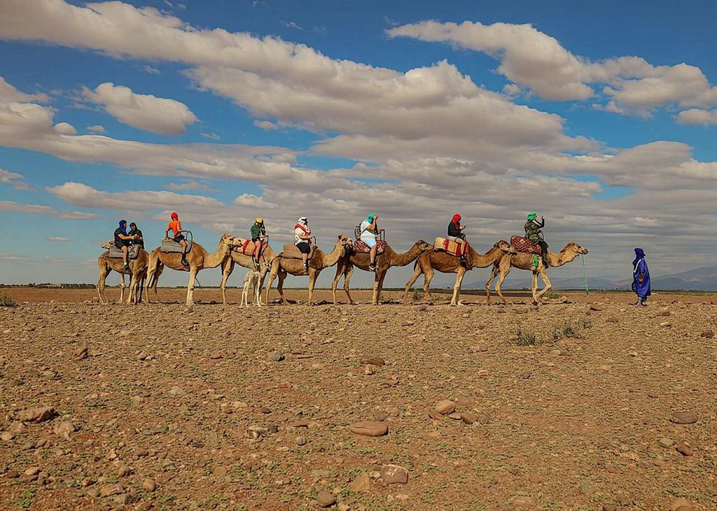 Marrakech Agafay Desert camel ride with tourists on saddled camels crossing rocky terrain
