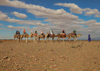 Marrakech Agafay Desert camel ride with tourists on saddled camels crossing rocky terrain