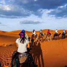 Camel caravan trekking across golden sand dunes under a blue sky during a Merzouga day trip in the Moroccan Sahara desert.