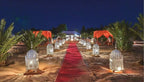 Merzouga Desert Camp evening scene with illuminated ornate lanterns lining a red carpet pathway flanked by palm trees and orange canopies