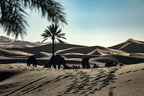 Merzouga hotel kanz Erremal desert scene with camels resting on golden sand dunes under a clear blue sky