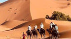 Camel trekking group in traditional clothing riding camels over golden sand dunes near sparse green trees in Merzouga Overnight Luxury Sahara Desert Camp.