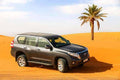 Dark grey 4x4 SUV parked on the golden sand dunes near a single palm tree in the Merzouga Sahara Desert landscape.