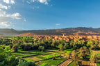 Landscape view of a lush green oasis with palm trees and farmland next to a sandy brown desert village under a clear blue sky in the Merzouga Sahara Desert.