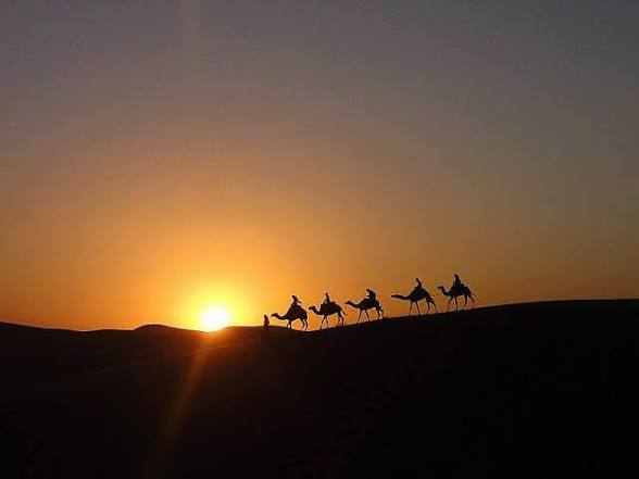 Camel caravan silhouettes riding along dark desert dunes with a glowing orange sun near the horizon during Merzouga sunrise.