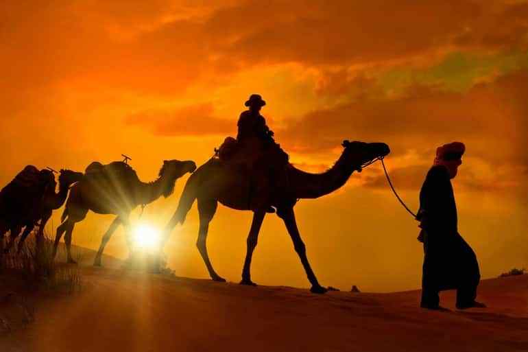 Merzouga Sunset Camel Trek featuring silhouette of camels and rider with guide leading at golden orange desert sunset