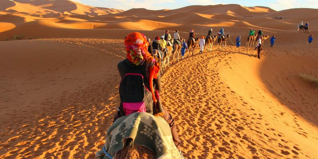 Merzouga Sunset Camel Trek showing a line of camels with riders crossing golden sand dunes under warm sunlight