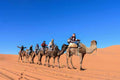 Camel caravan with riders dressed in casual, colorful clothes trekking across bright orange sand dunes under clear blue sky during Merzouga Sunset Camel Trek.