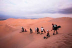Merzouga Sunset Camel Trek showing group of people sandboarding and walking on vast golden sand dunes under cloudy sky