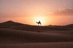 Camel trekking scene at sunset showing a lone camel and rider silhouetted against an orange sky over sand dunes during Merzouga Sunset Camel Trekking.