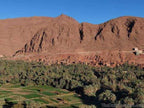 Landscape view of green palm groves and agricultural fields with reddish rocky mountains under a clear blue sky during Merzouga to Tinghir tour