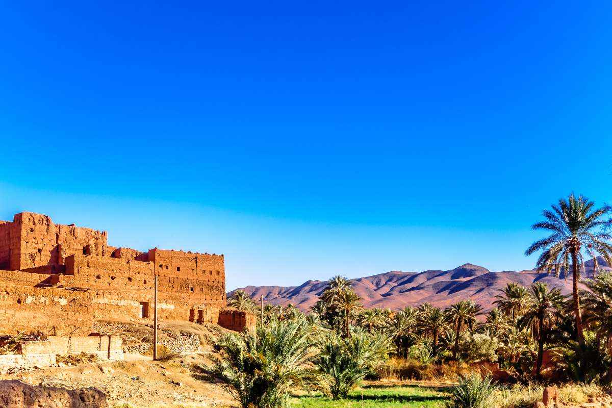 Ancient red mud-brick fortress beside a lush green palm oasis with mountain backdrop under a clear blue sky, showcasing Merzouga to Zagora desert landscape.