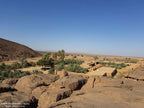 Desert landscape with rocky foreground, sandy terrain, green palm trees, and traditional mud-brick buildings showcasing Merzouga to Zagora scenery.