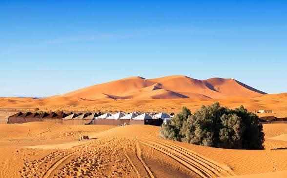 Desert camp tents in white and beige fabric set against orange sand dunes under a clear blue sky, representing a Merzouga Tour Guide experience.